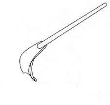 MİNİ RICHARDSON EKARTÖR BİLEYT 1.9X2.5CM